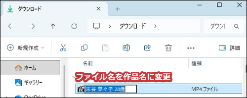 人妻斬り動画のダウンロード手順6