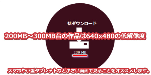 人妻斬りの1本200MB台の動画はスマホや小型タブレット視聴がオススメ