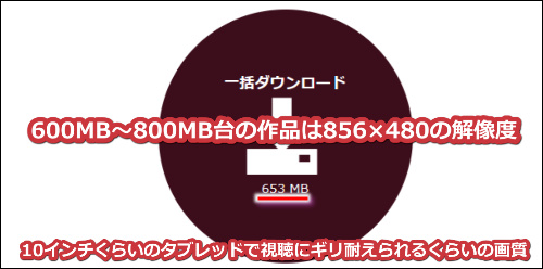 人妻斬りの1本600MB〜800MB台の動画は10インチくらいのタブレットでギリ視聴できるレベル