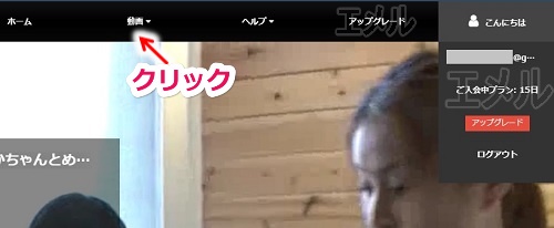 VA_gv̓菇4